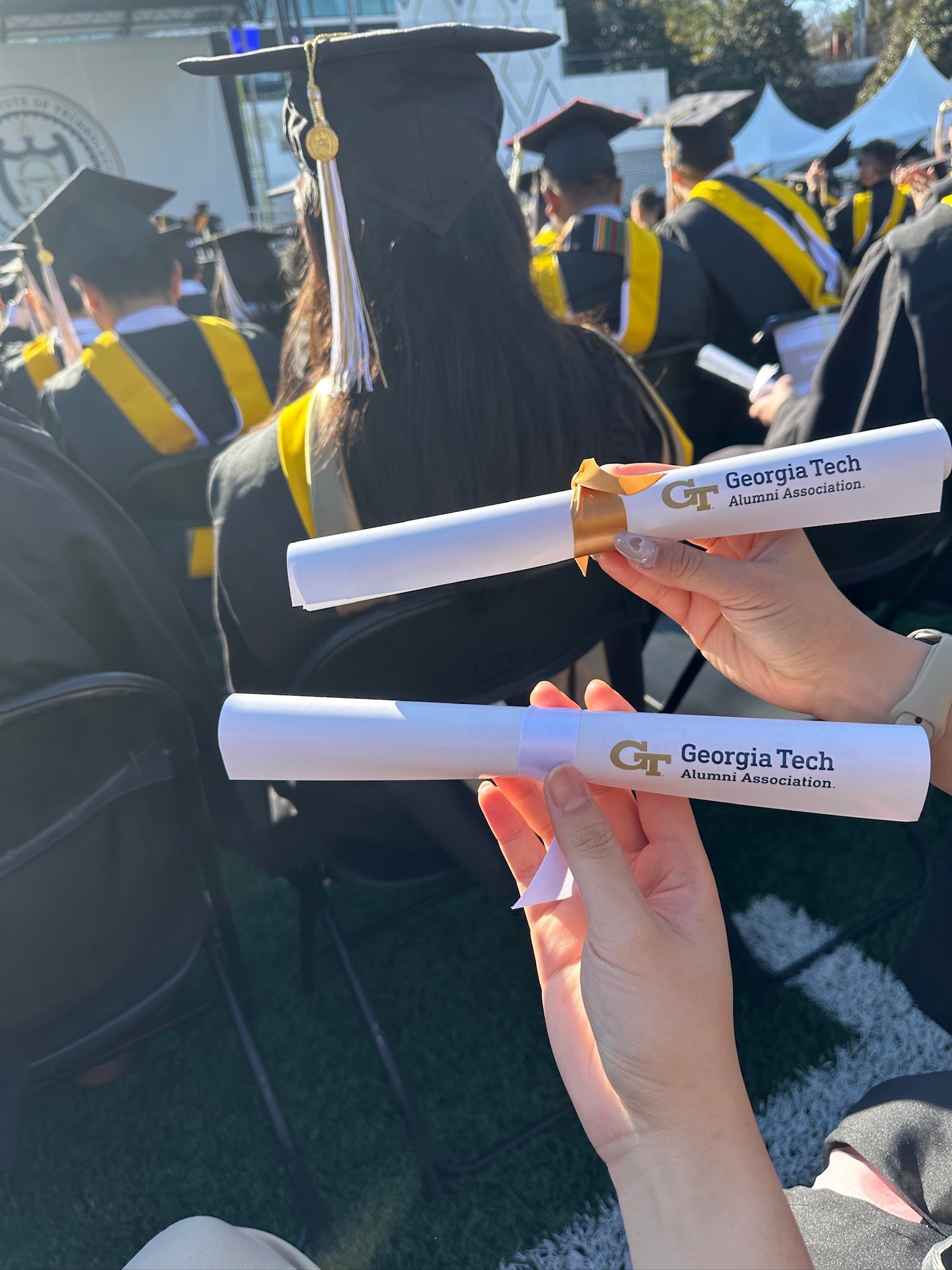 Our fake degree